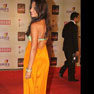 Celebs at 18th Annual Colors Screen Awards